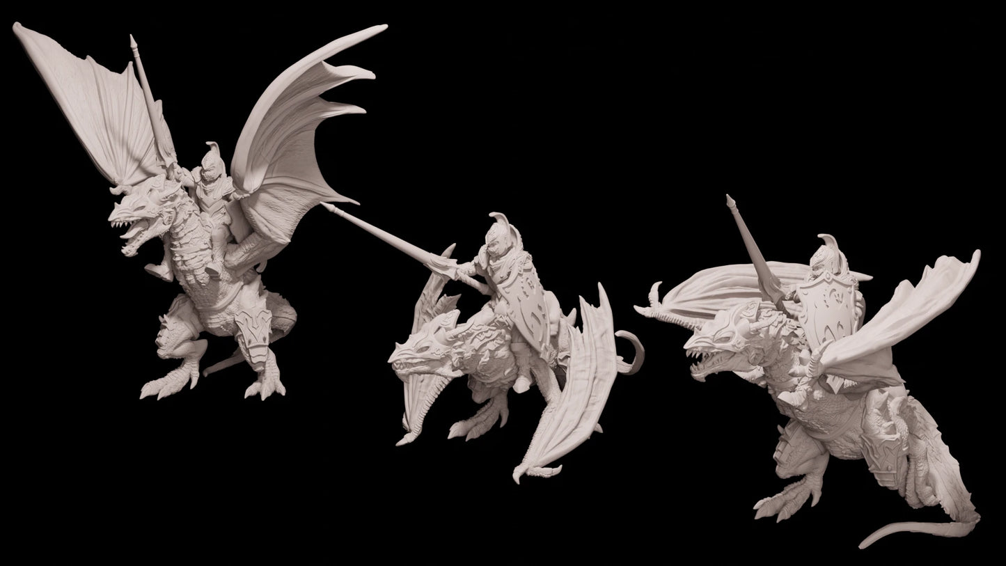 Elf Drakon Riders