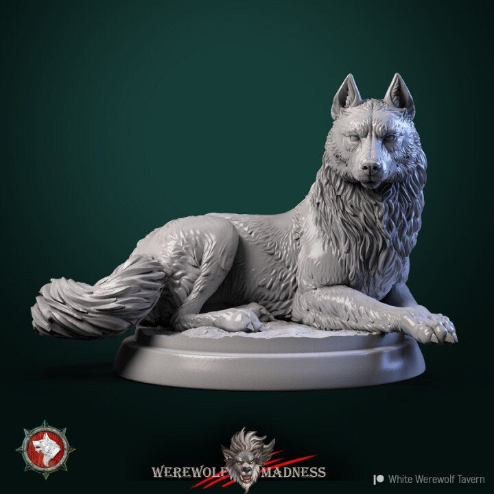 Wolves Set of 6 | 3D Printed Resin Model | Ideal for DnD, RPG, AOS, Table top Gaming