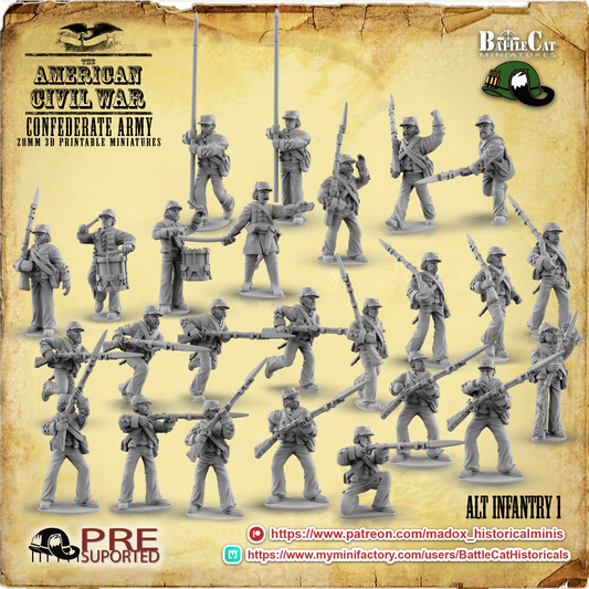 Confederate Alternative Infantry