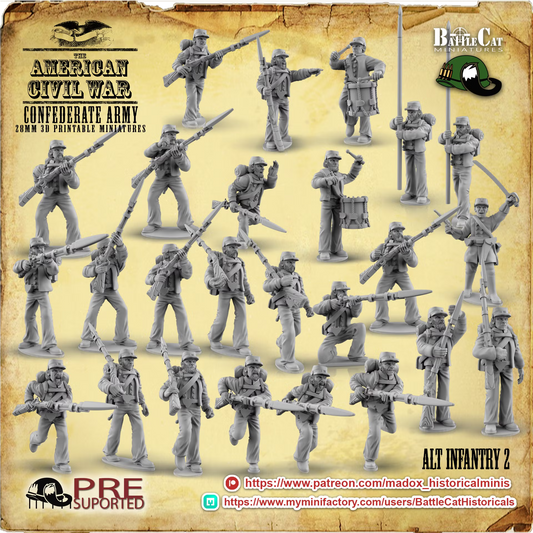 Confederate Alternative Infantry 2