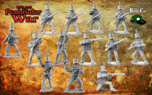 Peninsular War British Rifles
