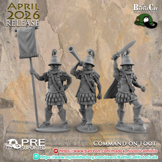 Pyrrhic War Command Group
