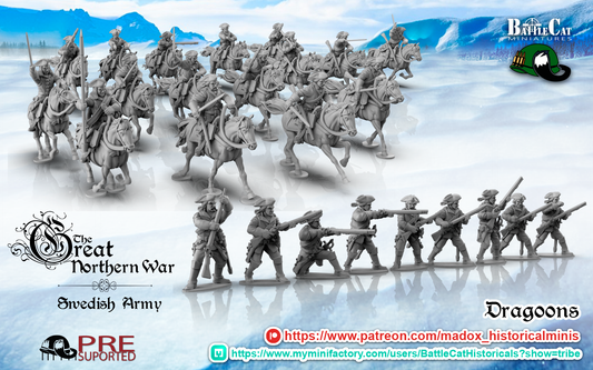 GNW Swedish Dragoons