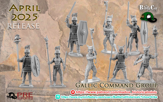 Gallic Command Group
