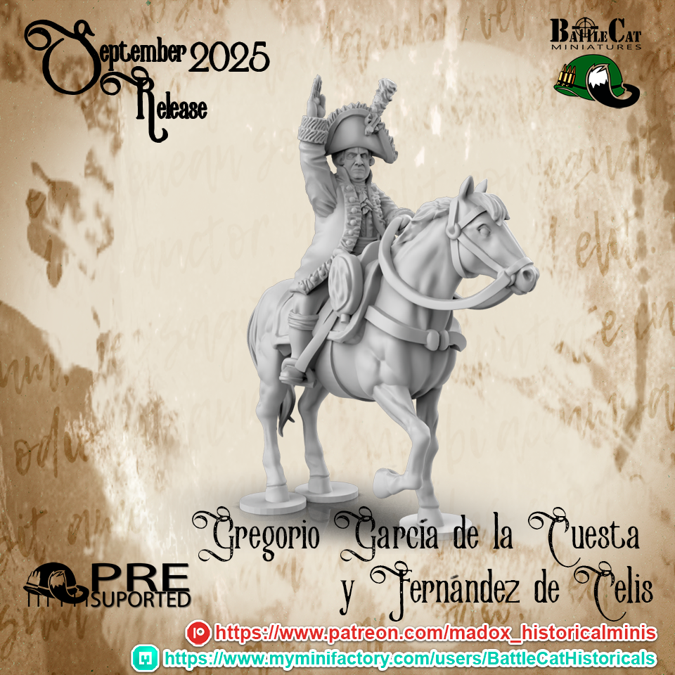 Peninsular War Spanish High Command