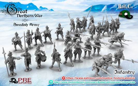 GNW Swedish Infantry