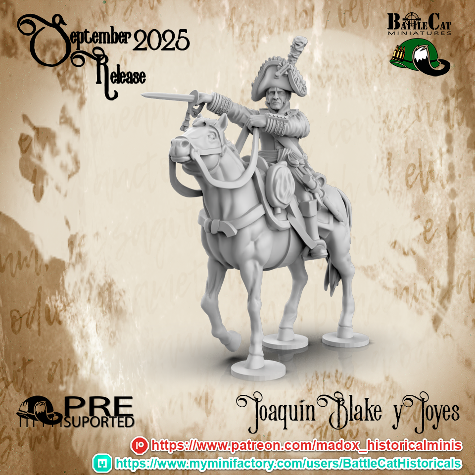 Peninsular War Spanish High Command