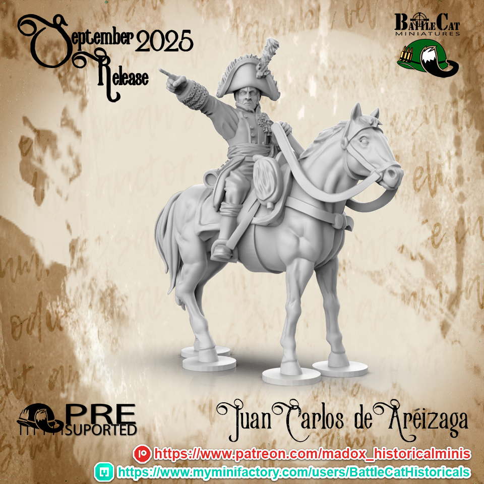 Peninsular War Spanish High Command