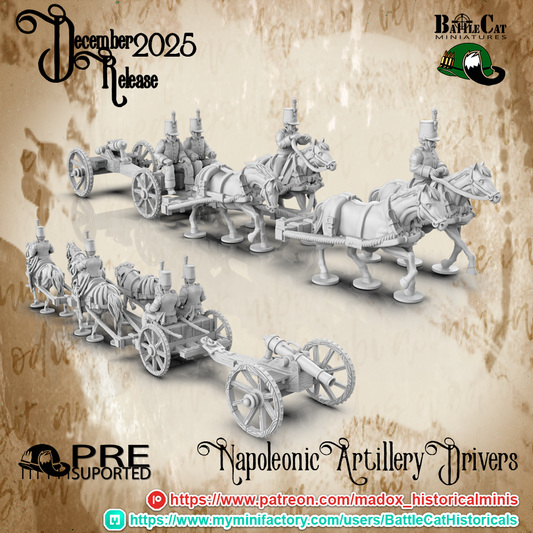 Napoleonic Portuguese Artillery Train