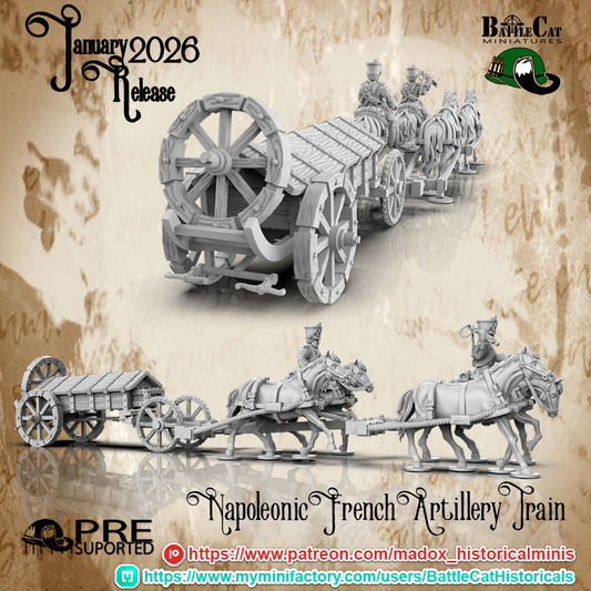Napoleonic French Artillery Train