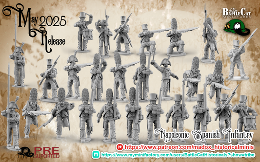 Napoleonic Spanish Infantry