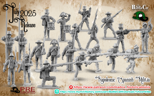 Napoleonic Spanish Militia