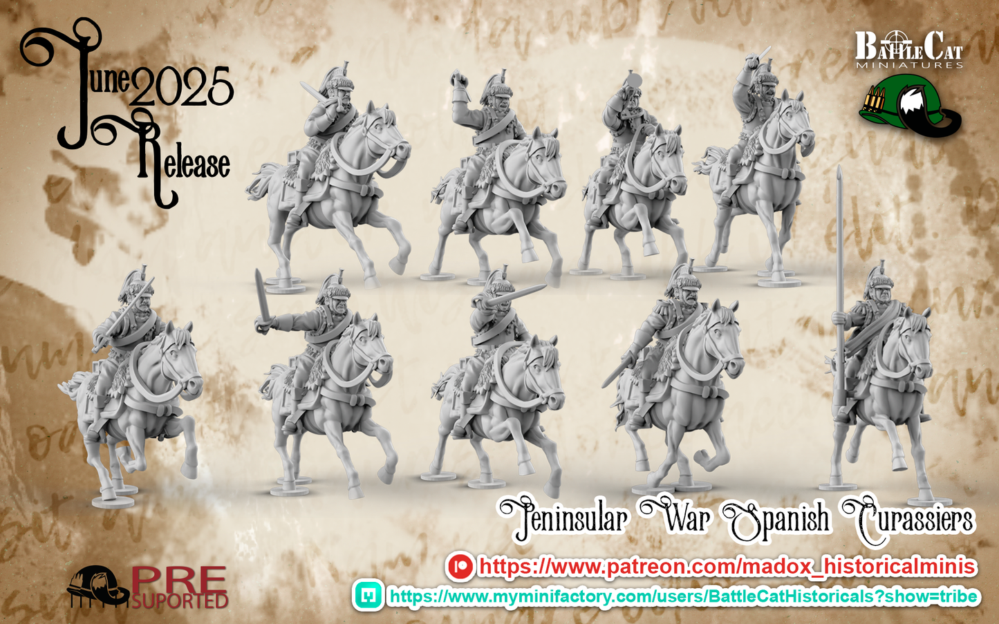 Peninsular War Spanish Curassiers