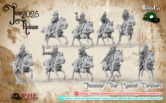 Peninsular War Spanish Curassiers