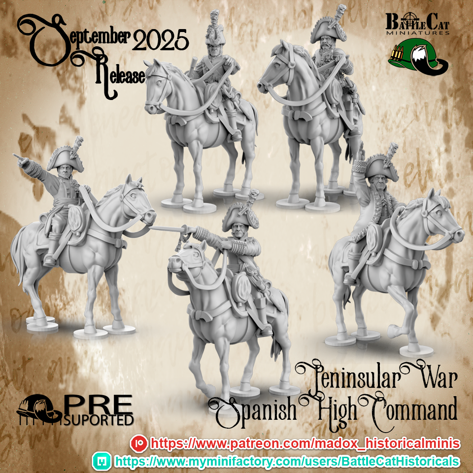 Peninsular War Spanish High Command