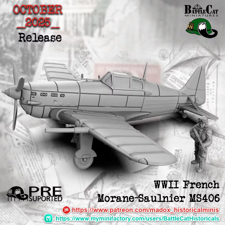 WW2 French Morane-Saulnier MS406