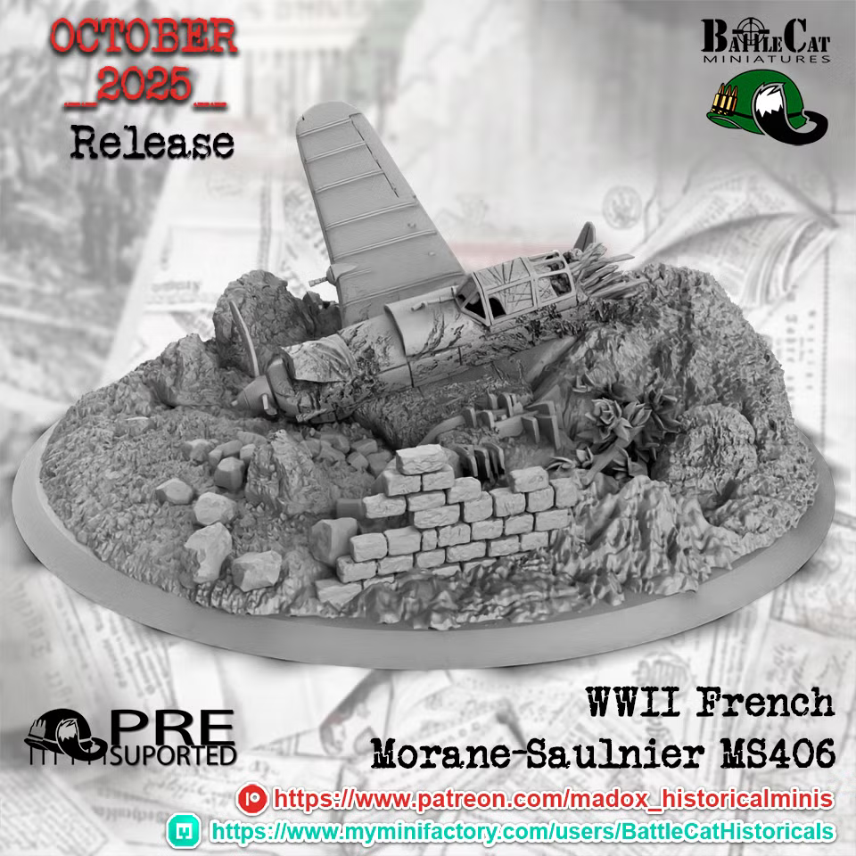 WW2 French Morane-Saulnier MS406