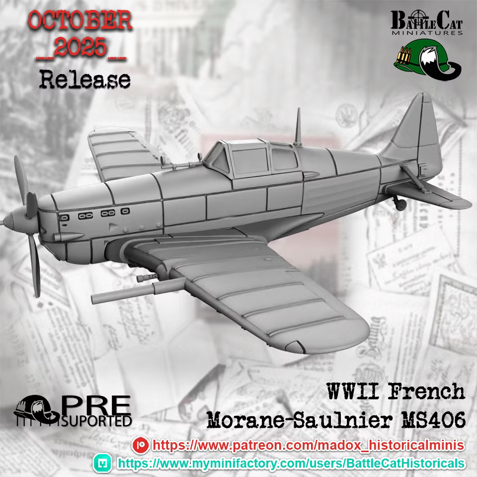 WW2 French Morane-Saulnier MS406