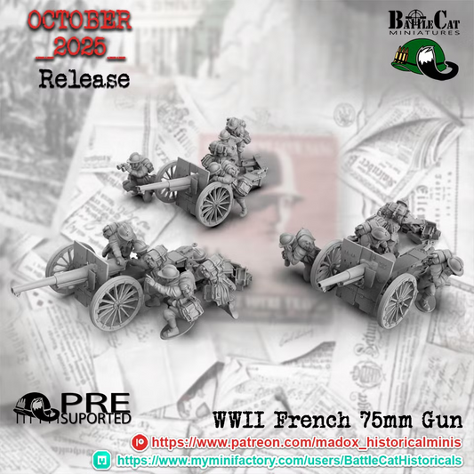 WW2 French 75mm AT Guns