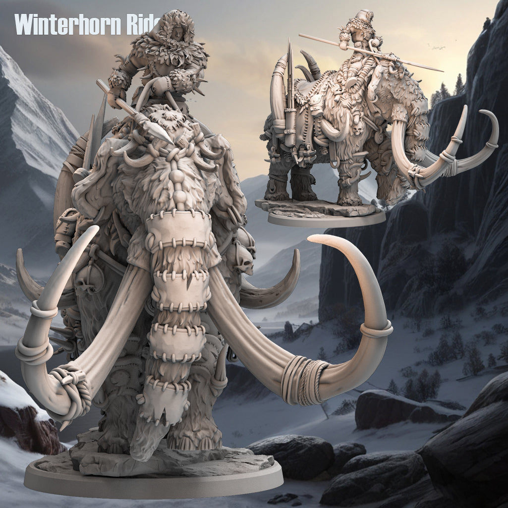 Winterhorn Rider