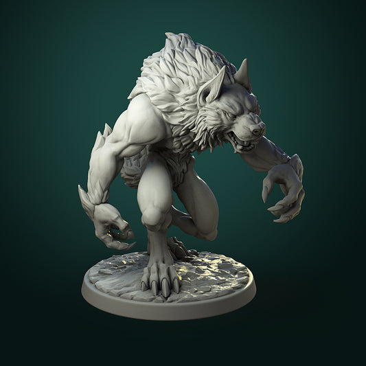 Common Werewolf