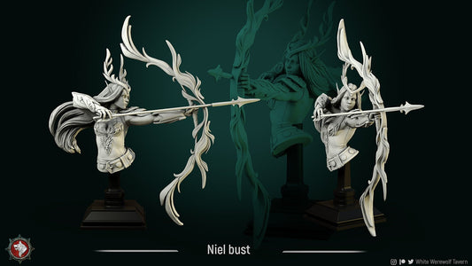 Niel the Elf Queen-Bust  | 3D Printed Resin Model- Ideal for DnD, RPG, table top Gaming, Fantasy