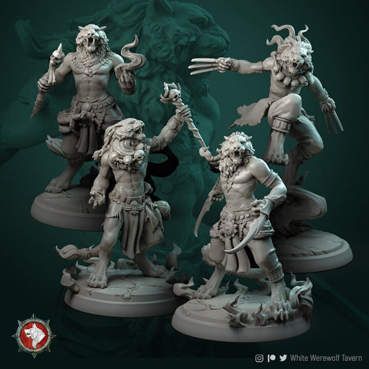Male Tabaxi Set (4 Miniatures) | RPG, DnD, Table top gaming, Fantasy, Wargaming, Beastmen | 3D Printed Resin Models