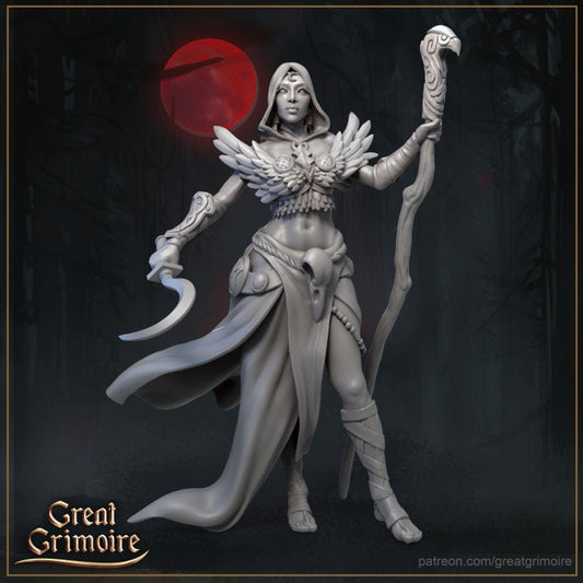 Crow Whisperer | 3D printed Resin Model | Ideal for DnD, RPG, Table top Gaming, Fantasy, Wargaming, The 9th Age, Female Miniature