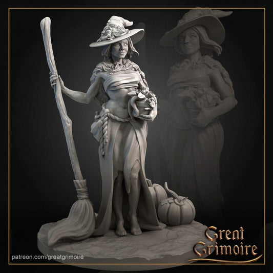 Amber | Display piece | Ideal for RPG, DnD, Table top gaming, Fantasy, Wargaming, The 9th Age, Female Miniature | 3D Printed Resin Models