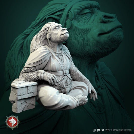 Monkey King Wife | Display piece | RPG, DnD, Table top gaming, Mythology, Fantasy, Beastmen, Female Miniature | 3D Printed Resin Models