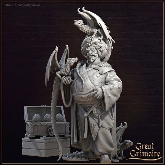 Dragon Merchant | 3D Printed Resin Model | Ideal for DnD, RPG, Table top Gaming
