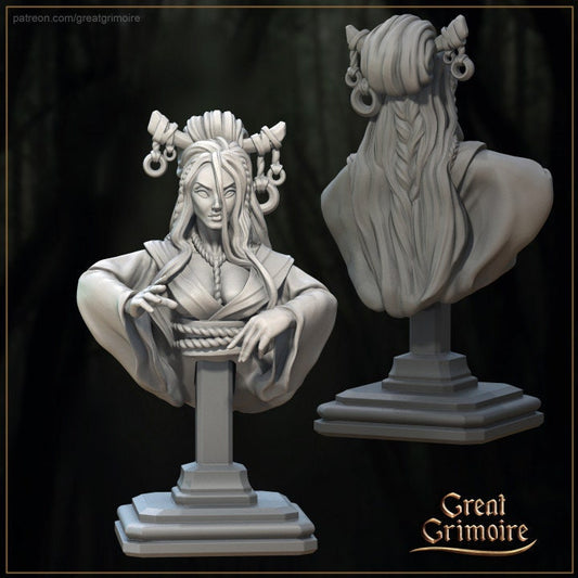 Busts Vol 6 Miko the Braided Maiden | 3D Printed Resin Model | Ideal for DnD, RPG, AOS, Table top Gaming