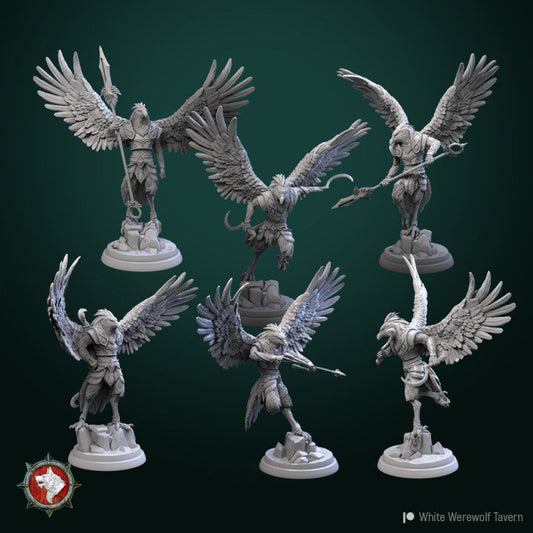 Aarakocra set of 6 | 3D Printed Resin Model | Ideal for DnD, RPG, AOS, Table top Gaming