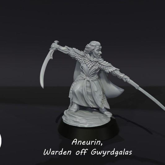 Aneurin, Warden of Gwardgalas | 3D Printed Resin Model | Ideal For DnD, RPG, Table top Gaming, Fantasy, Middle Earth