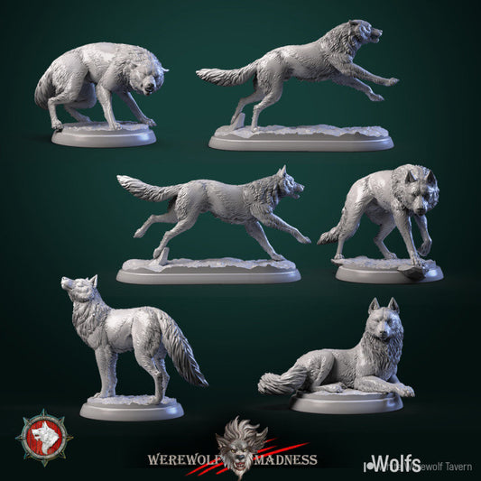Wolves Set of 6 | 3D Printed Resin Model | Ideal for DnD, RPG, AOS, Table top Gaming